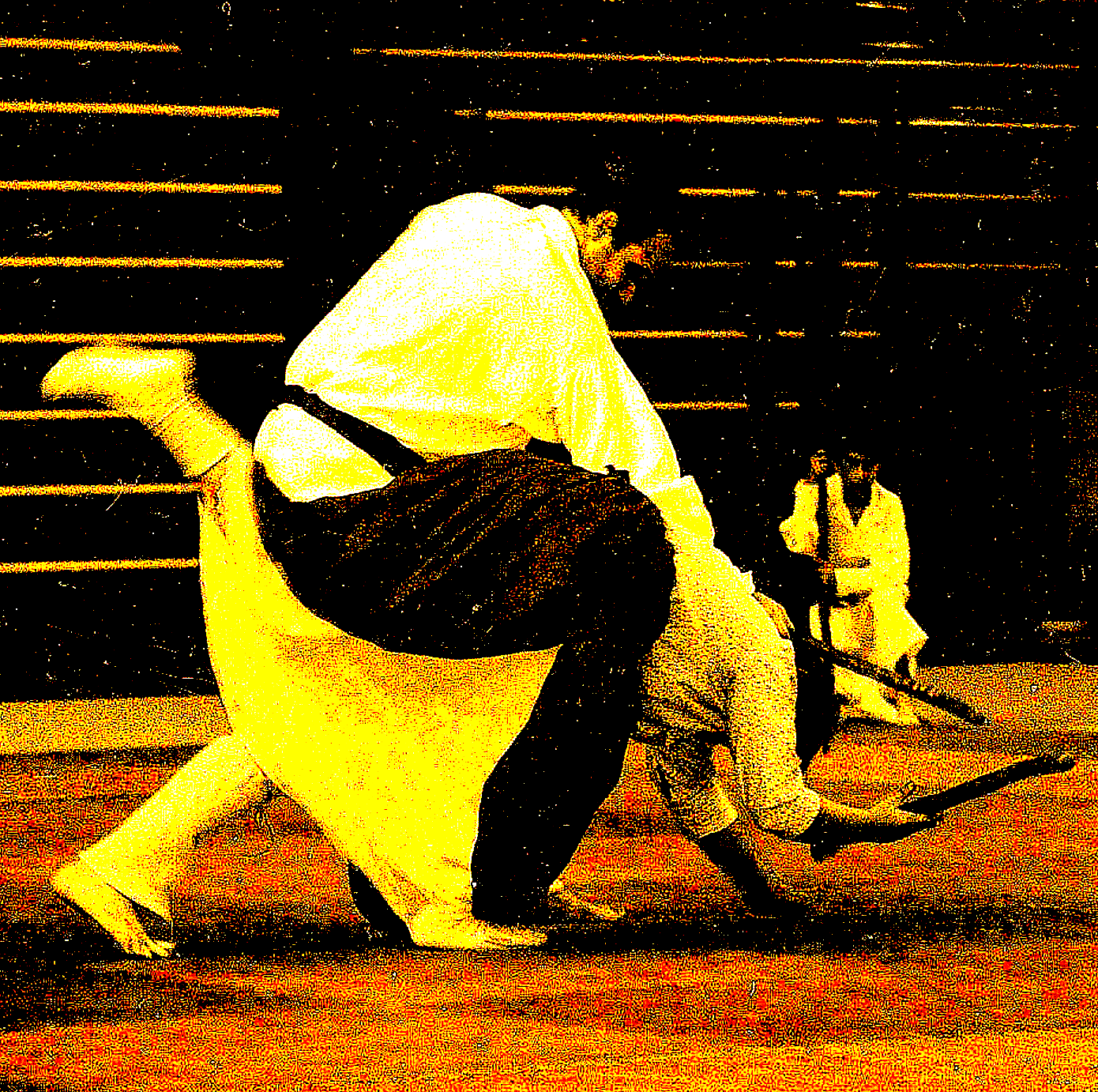 En el Pabellón Insular de deportes de Gran .Canaria.